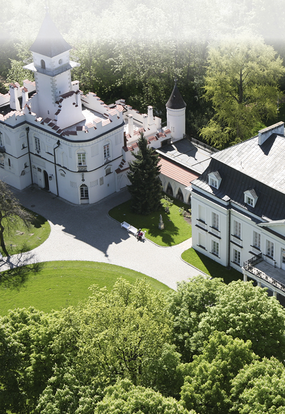 Dom Pracy Twórczej - Pałac w Radziejowicach